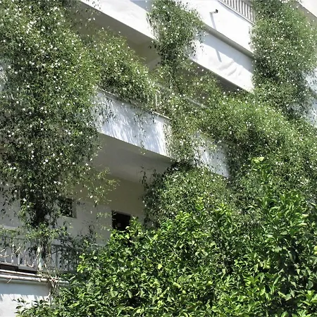 Diethnes Hotel 2*